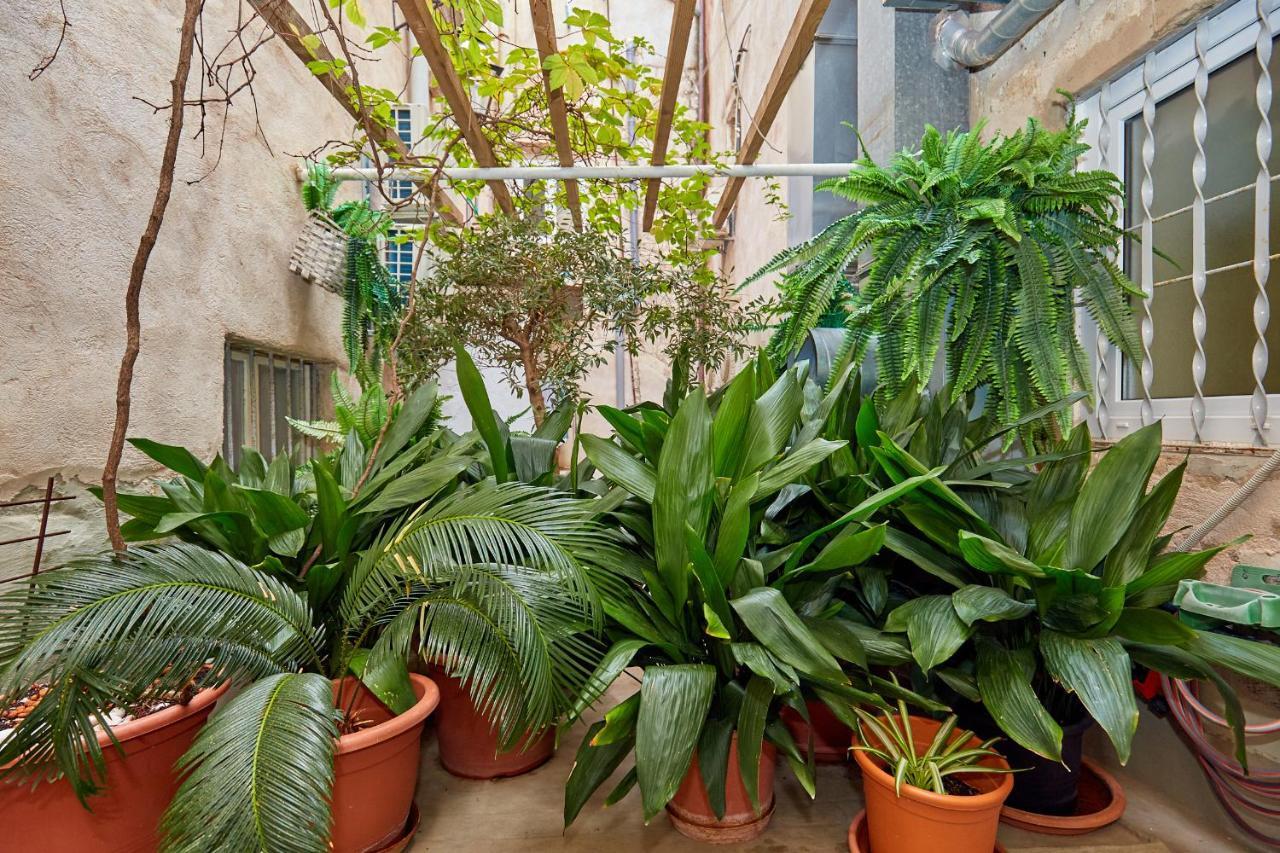 Hidden Gem Old Town Apartment Dubrovnik Bagian luar foto
